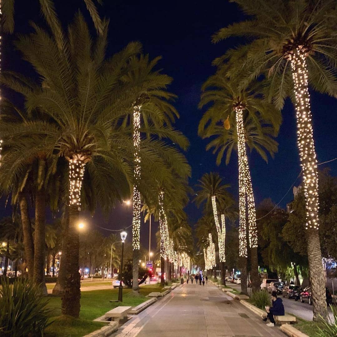 Christmas in Cala Millor