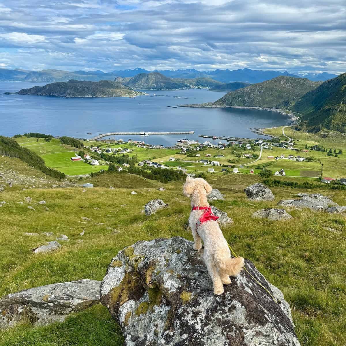 Coastal Trail to Kvalsvik