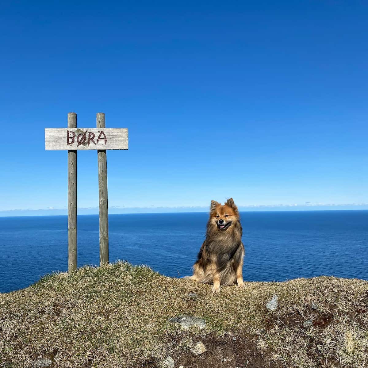 Coastal Trail to Kvalsvik