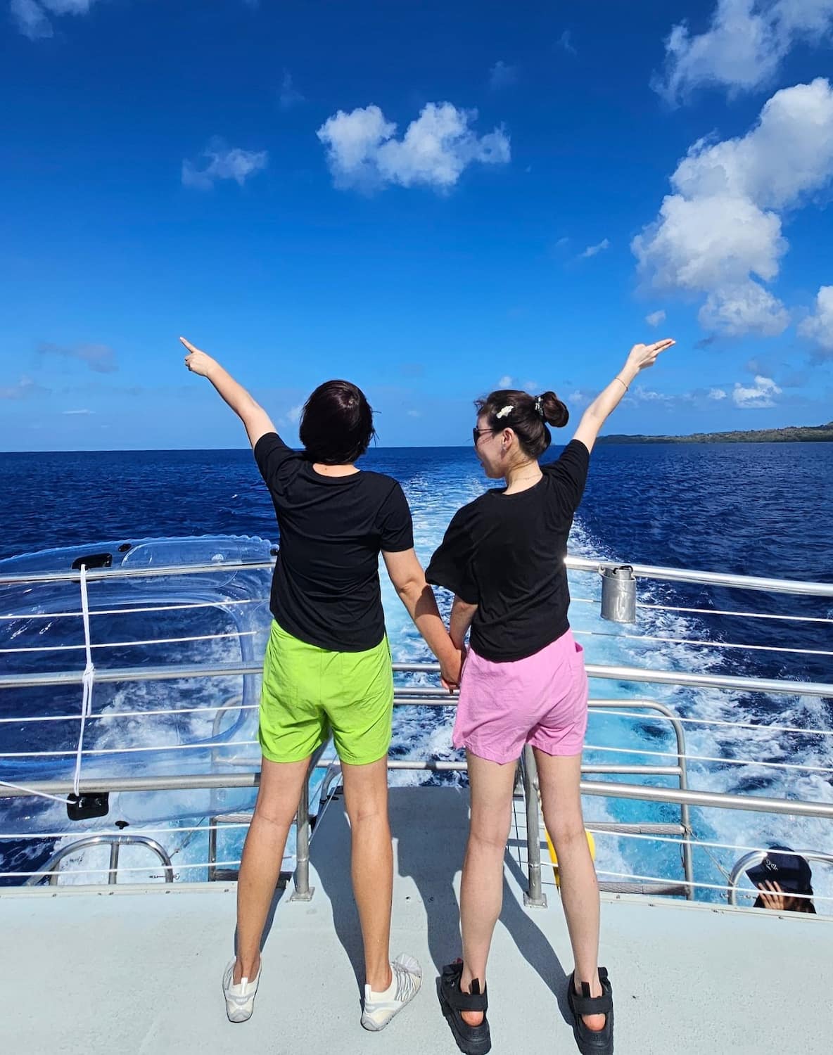 Dolphin watching Alvor