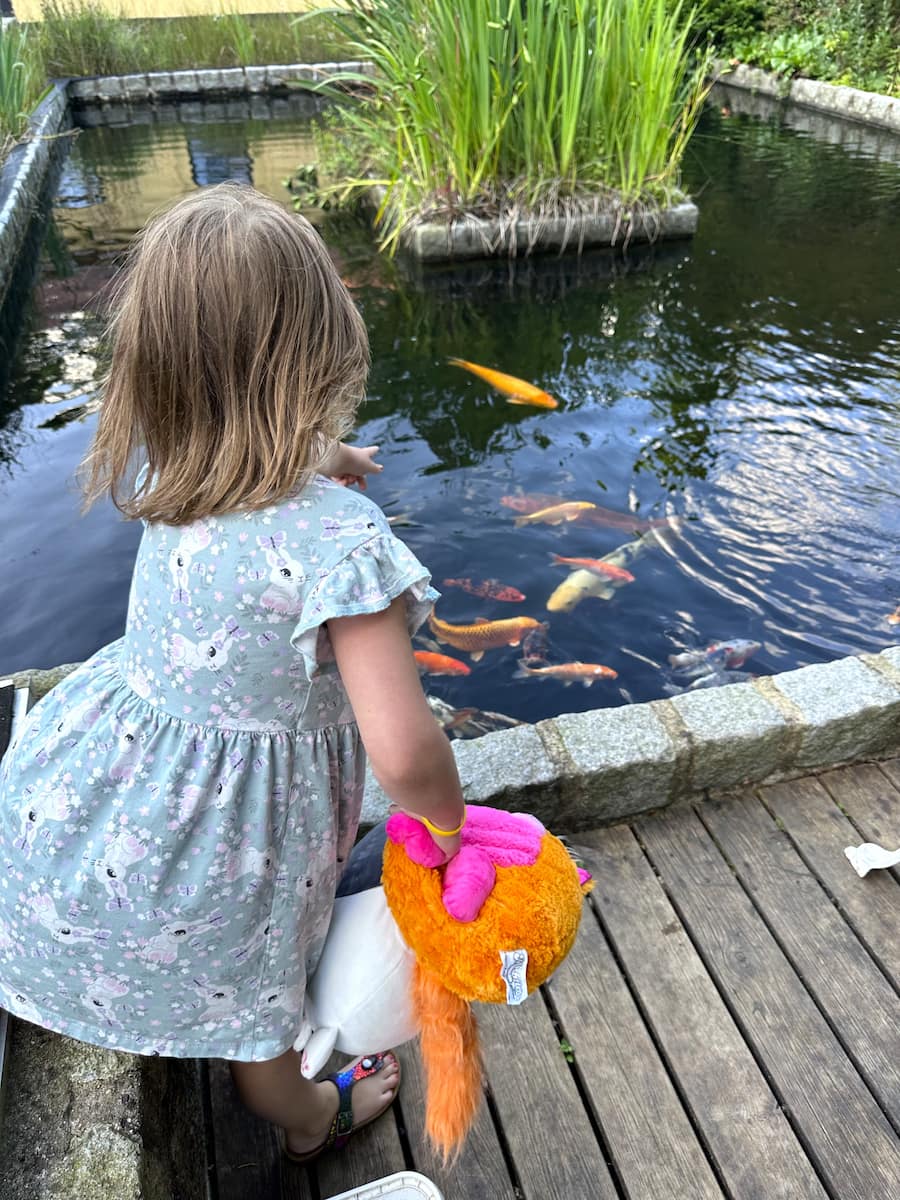 Dyrenes Verden Filskov Mini Zoo Billund