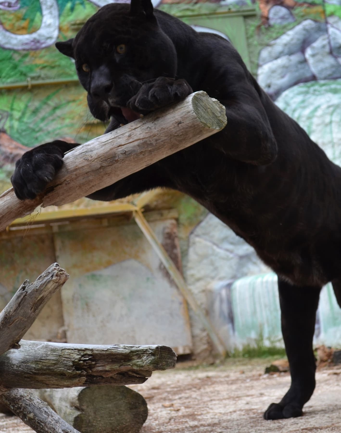 Mont Faron Zoo Toulon