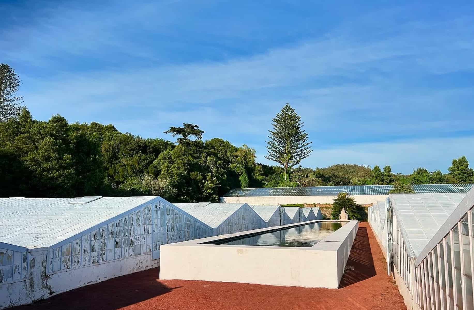 Pineapple Plantations, Ponta Delgada