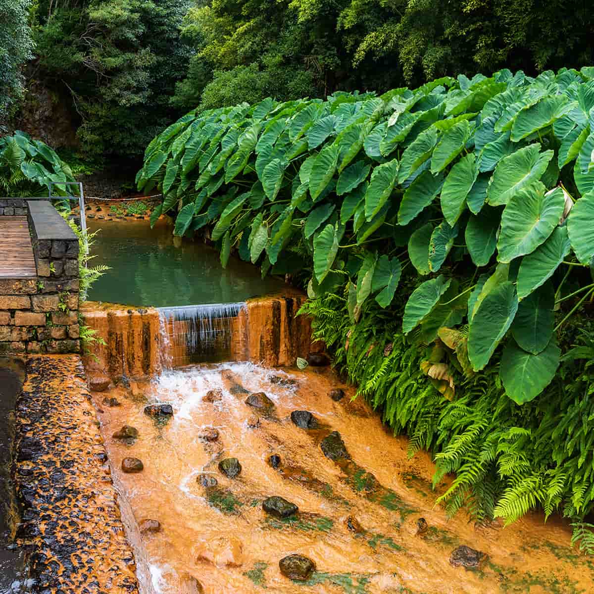 Poça da Dona Beija, Sao Miguel, Azores