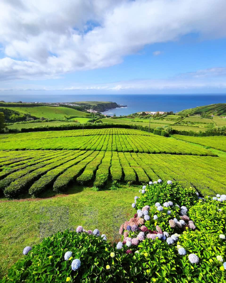 Porto Formoso, Sao Miguel, Azores