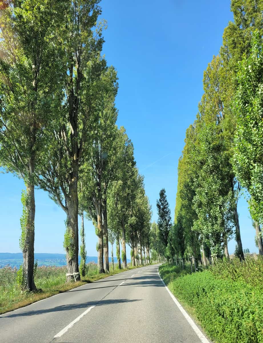 Reichenau Island Constance