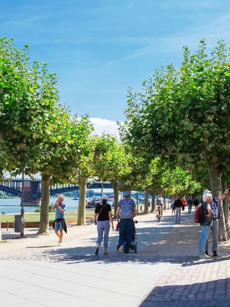 Rhine Promenade, Mainz