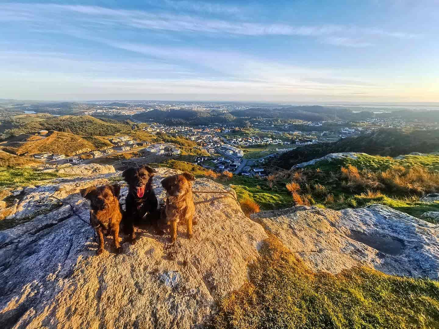 Steinsfjellet Viewpoint, Norway