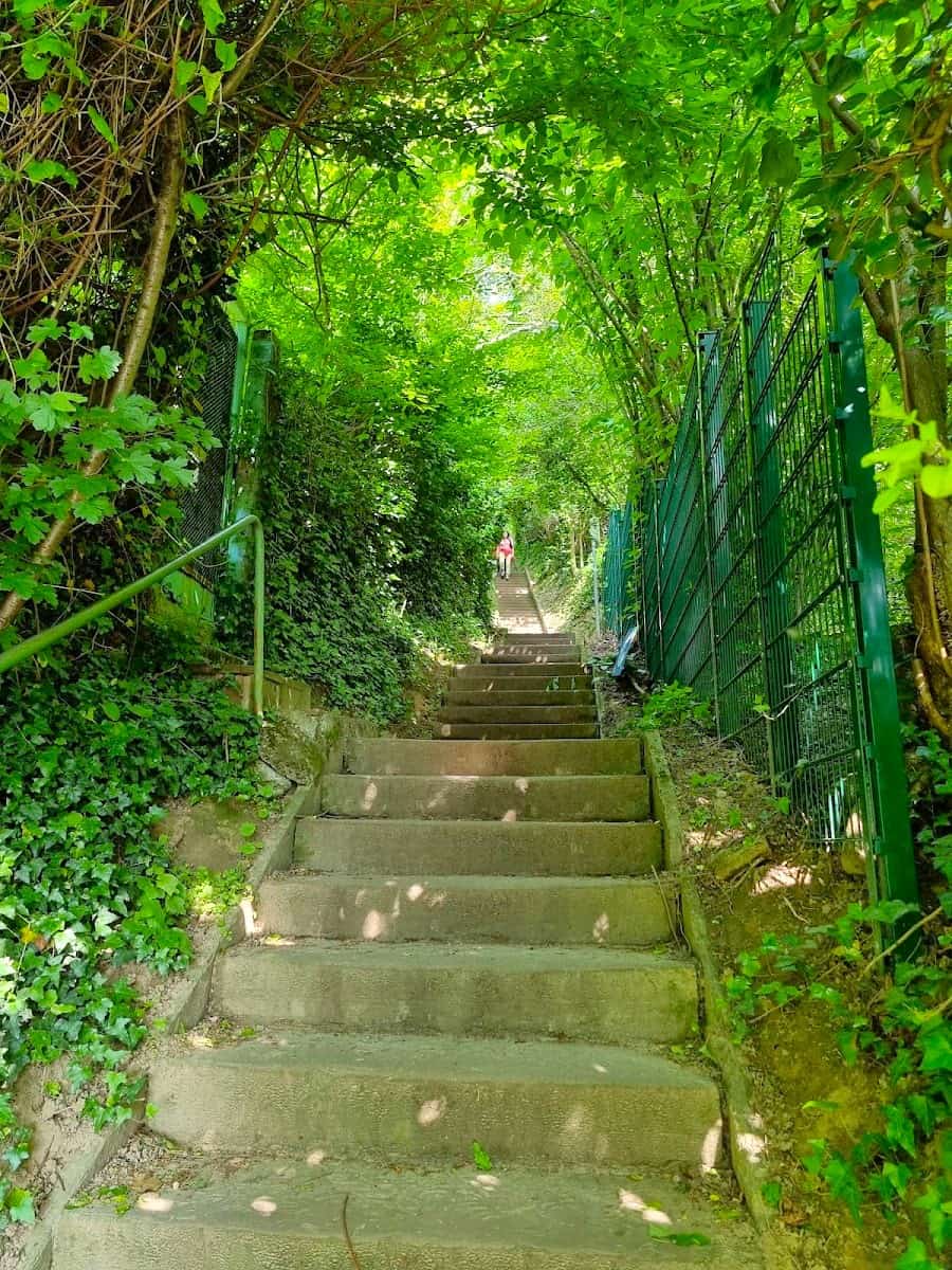 Turmberg Hill, Karlsruhe