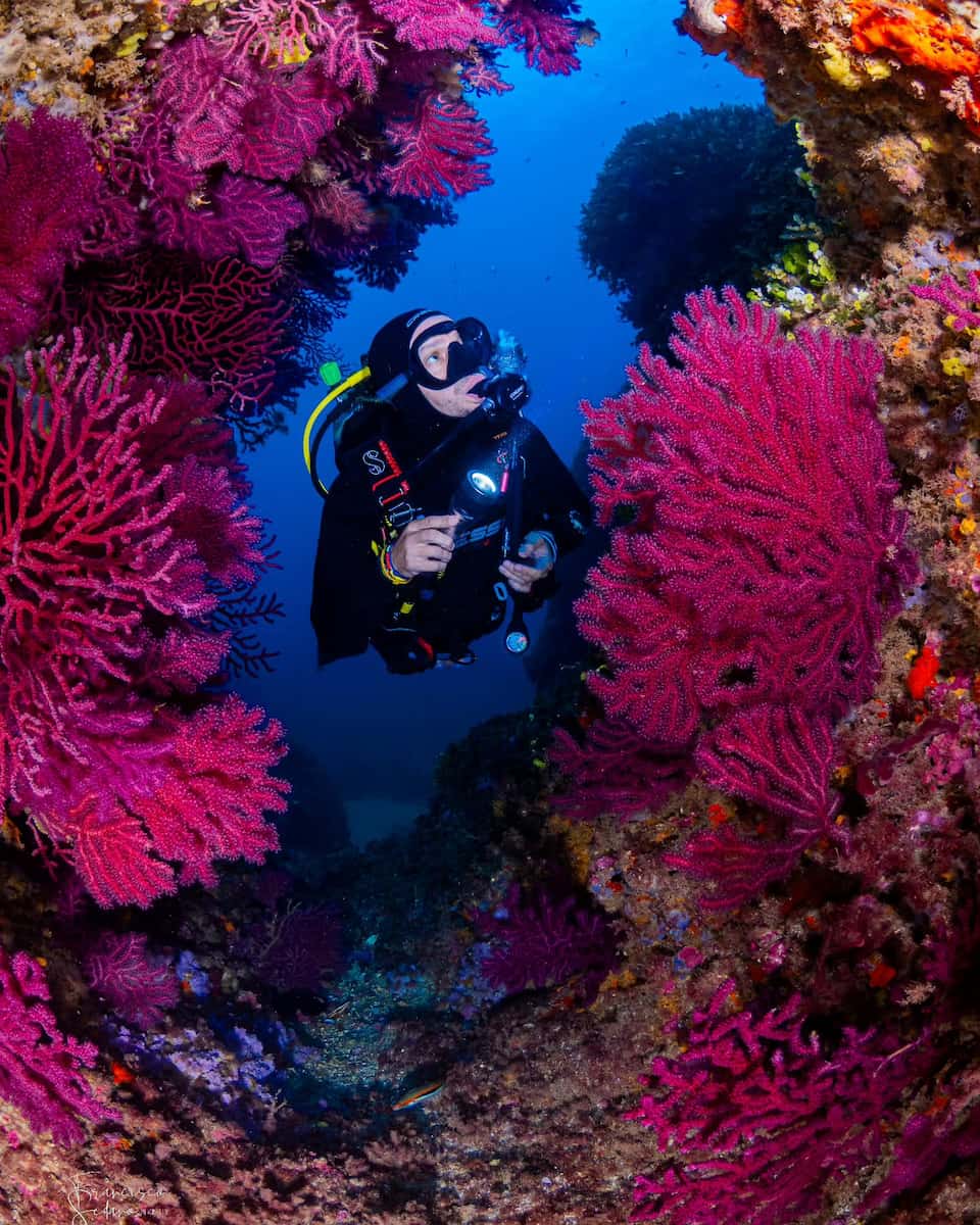 Underwater World of the Illes Medes