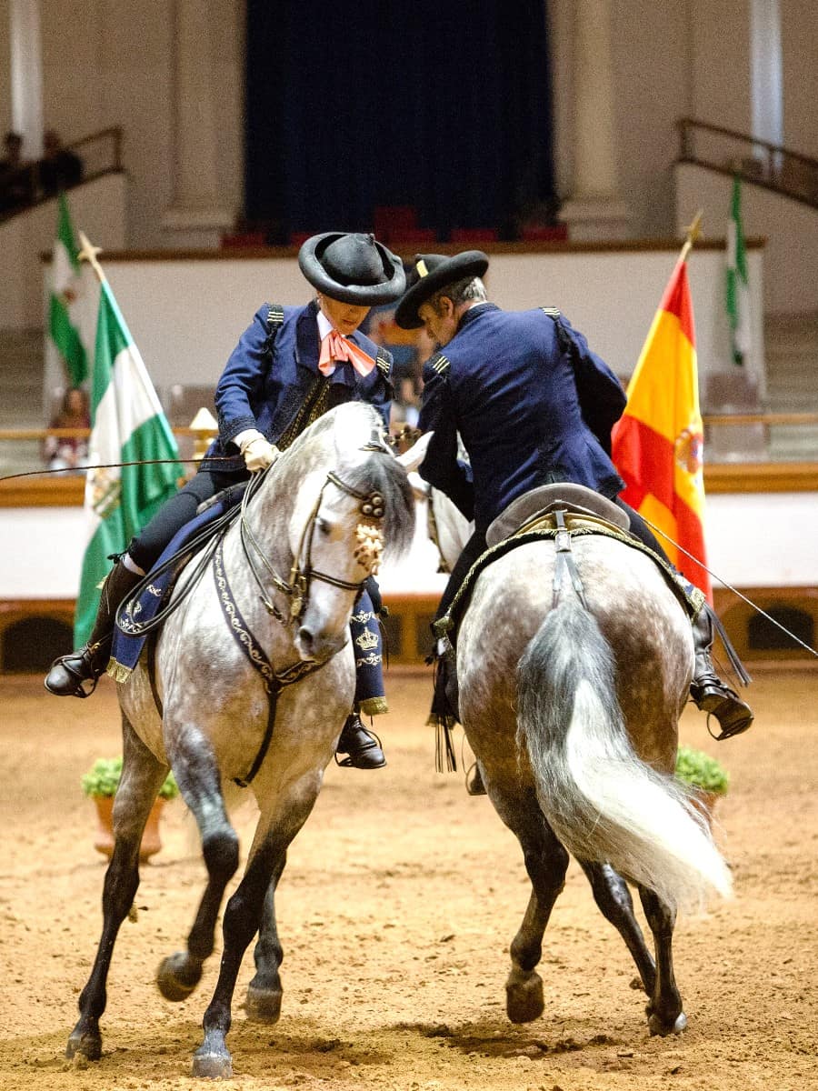 Andalusian School of Equestrian Art, Jerez de la Frontera