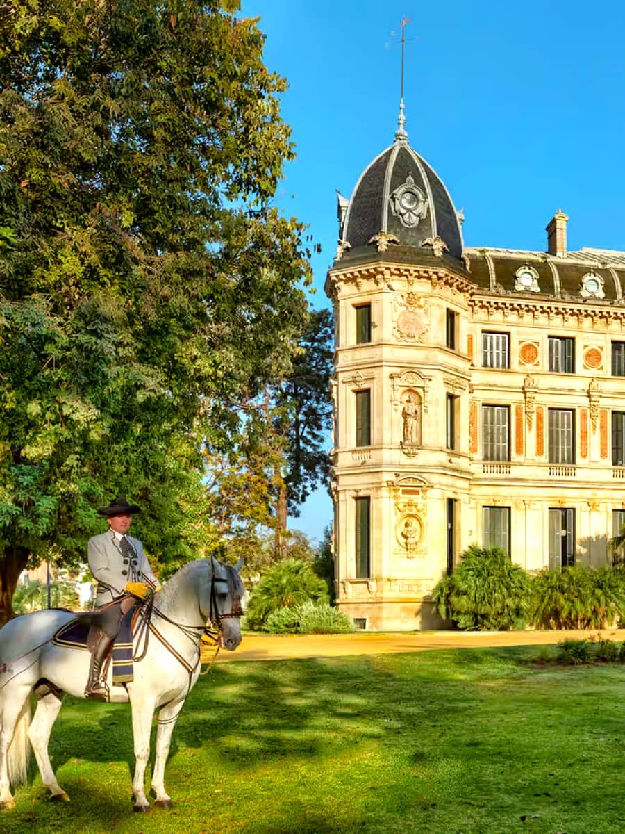 Andalusian School of Equestrian Art, Jerez de la Frontera