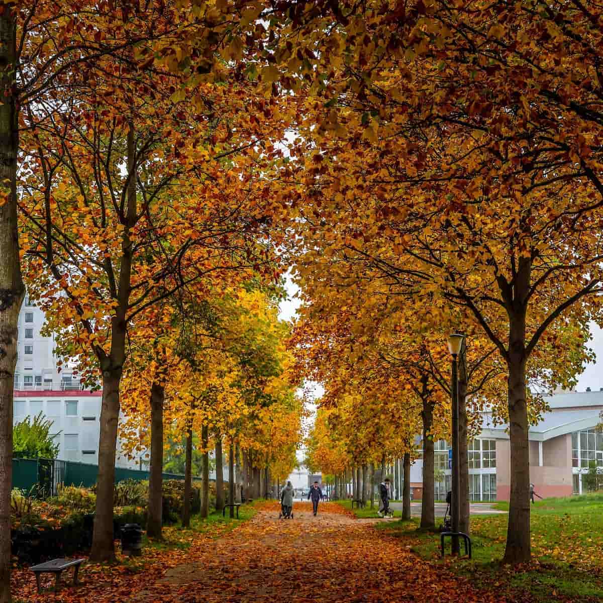Autumn in Le Havre