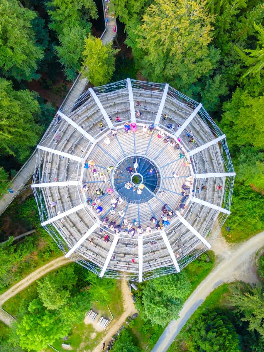 Baumwipfelpfad, Bavaria