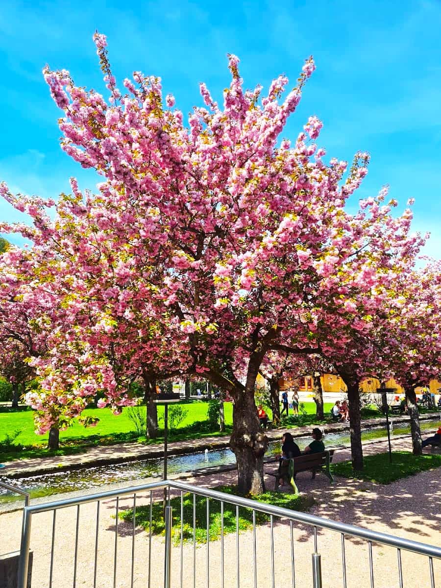 Berchtesgaden Kurpark, Berchtesgaden