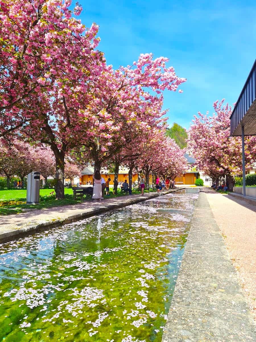 Berchtesgaden Kurpark, Berchtesgaden