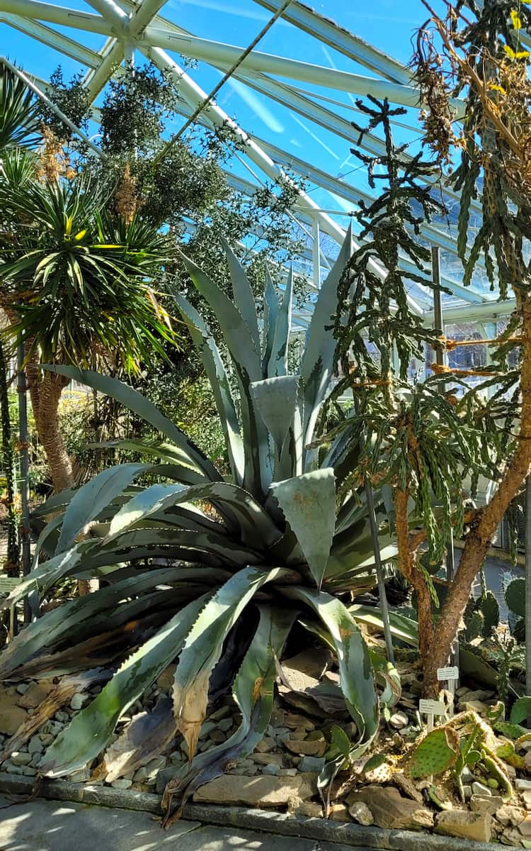 Botanical Garden St. Gallen