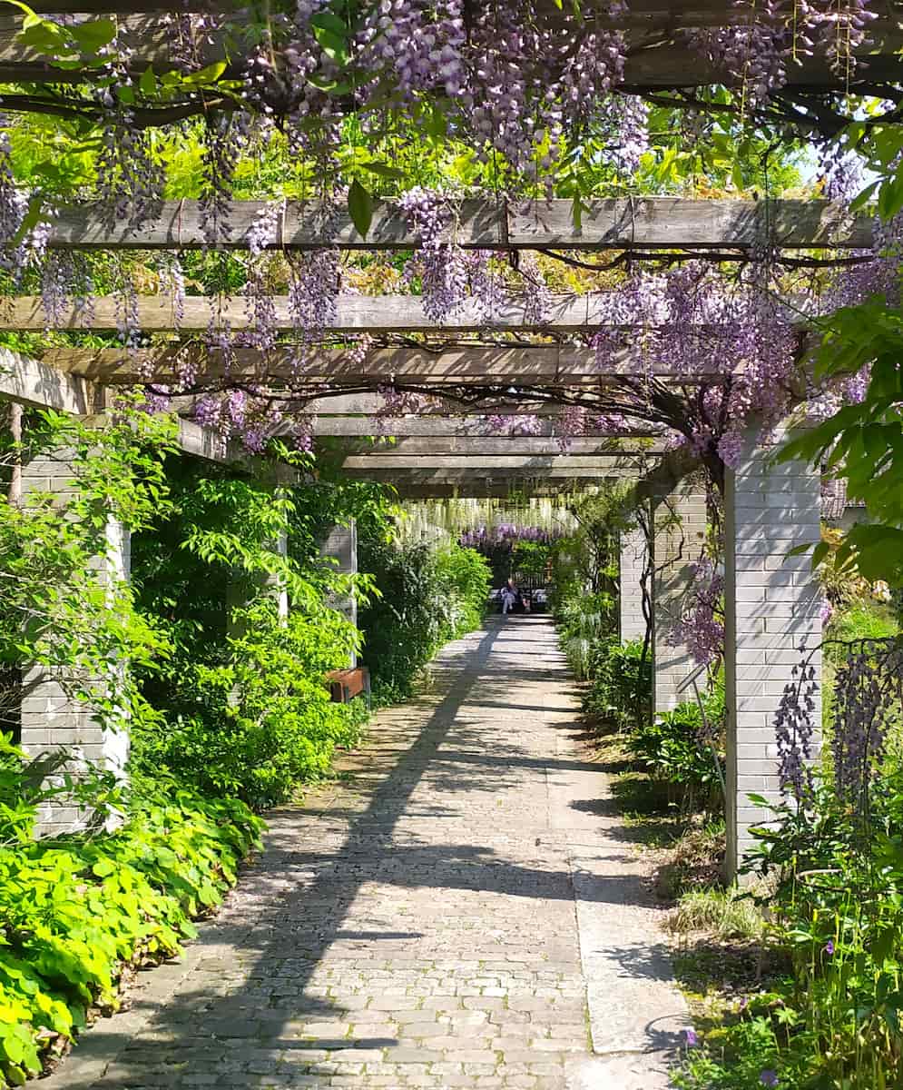 Botanical Garden St. Gallen