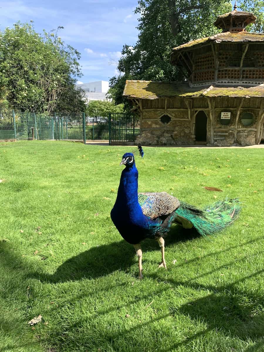 Botanical Garden Tours Loire Valley