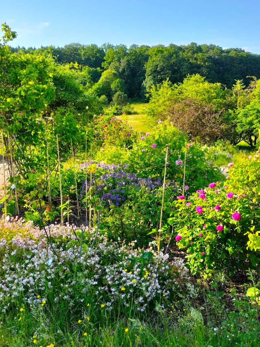 Botanical Garden of Ulm University, Ulm