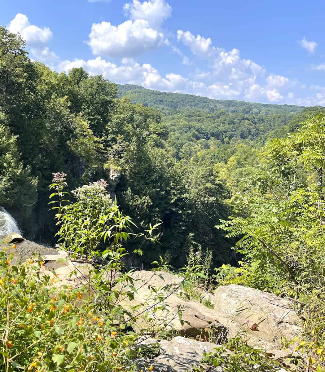 Chittenango Falls State Park, Syracuse
