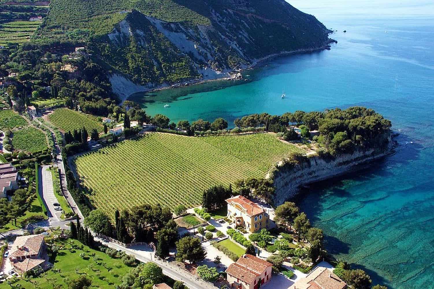 Clos Sainte-Magdeleine, Cassis
