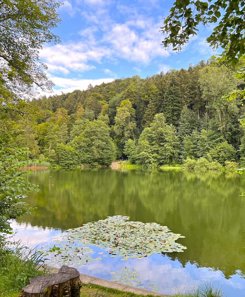 Drei Weieren Lakes St. Gallen