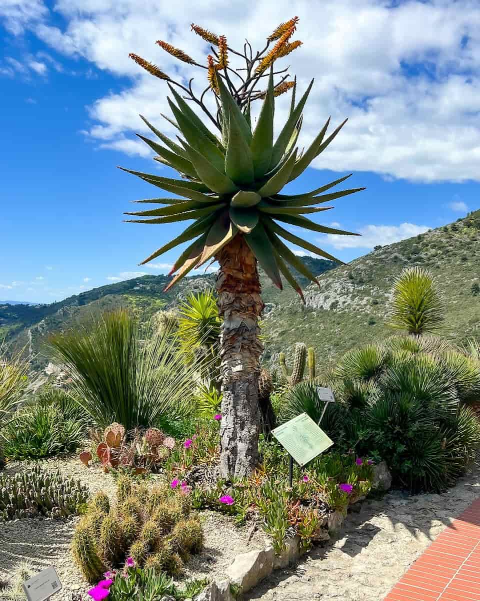 Exotic Garden Treasure Hunt