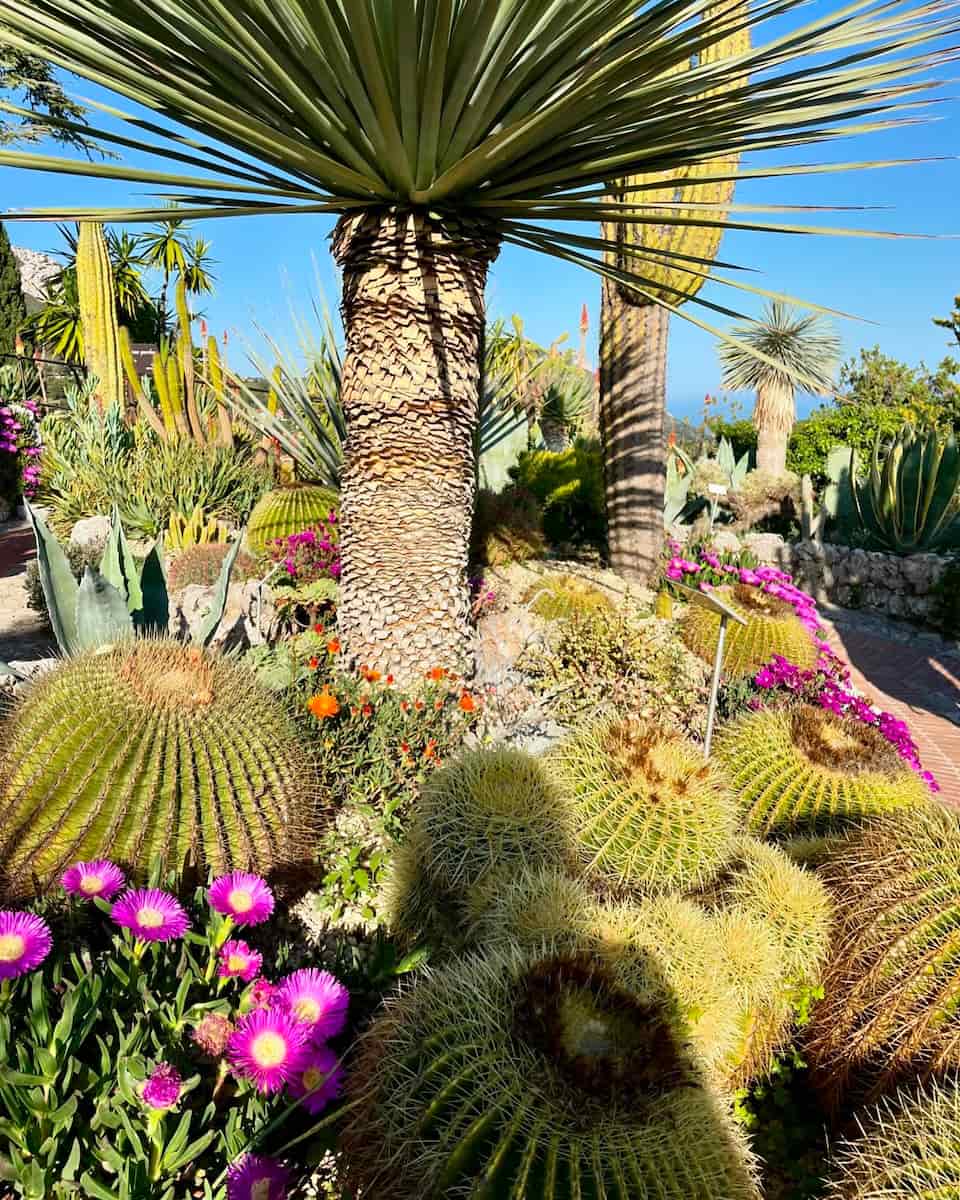 Exotic Garden Treasure Hunt