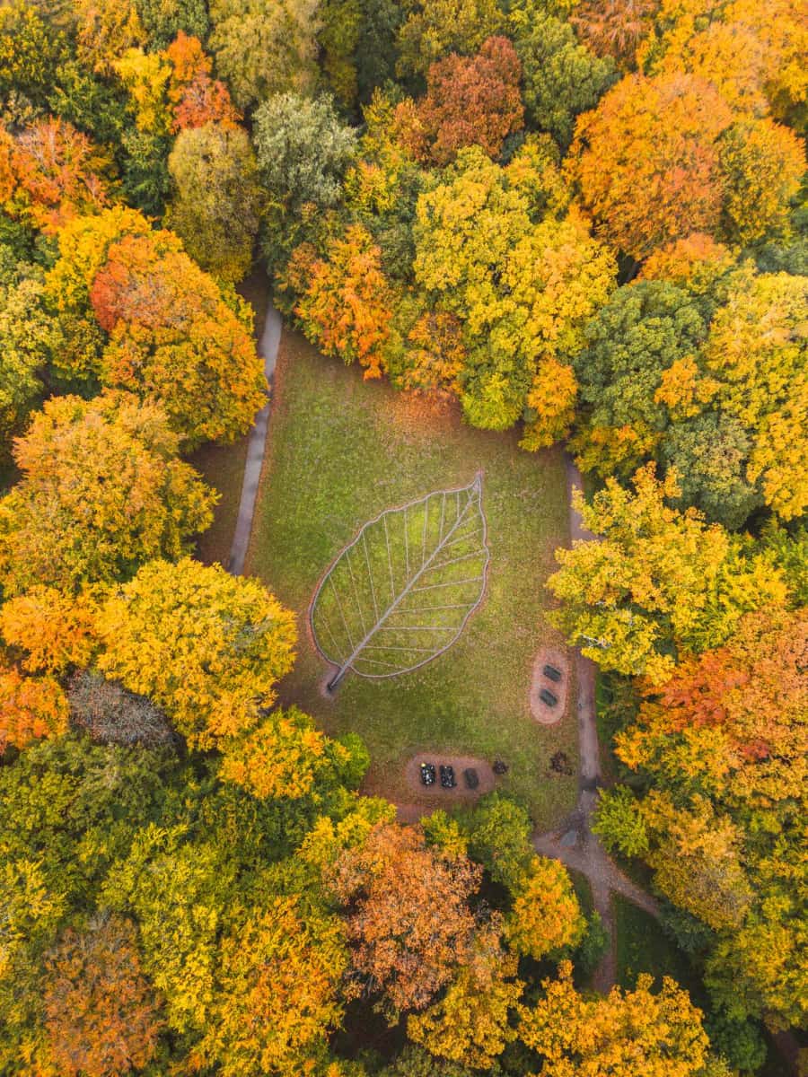 Fruens Bøge Forest, Odense
