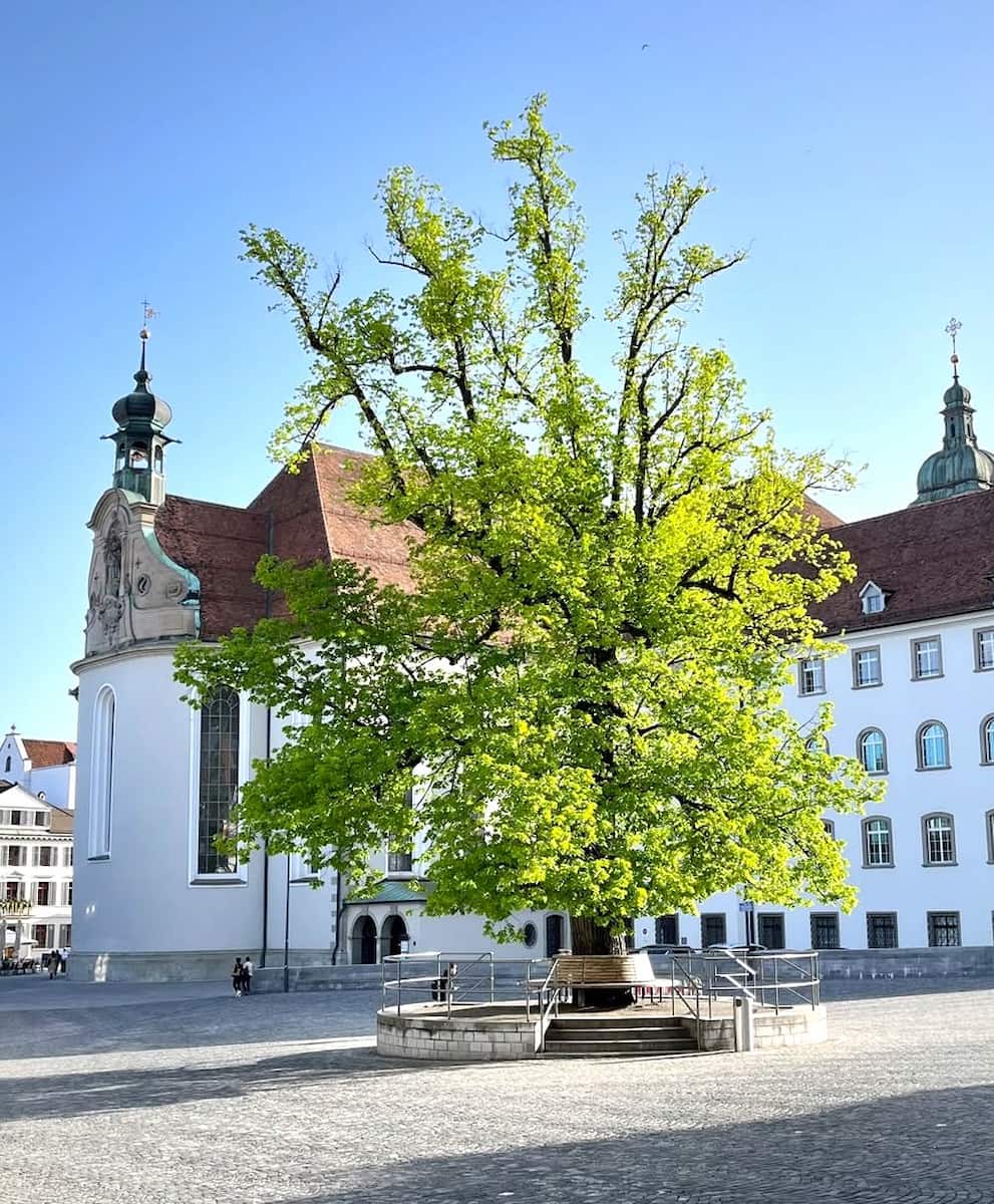 Gallus Square St Gallen