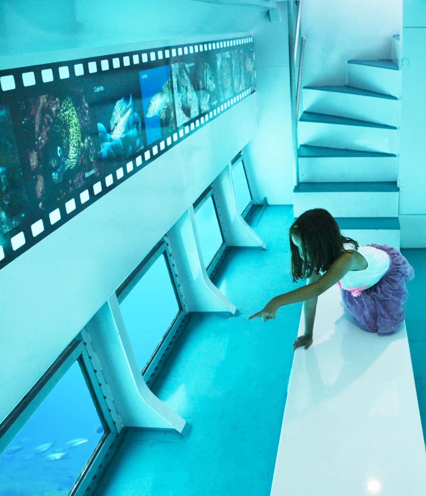 Glass-Bottom Boat Tours Sa Coma