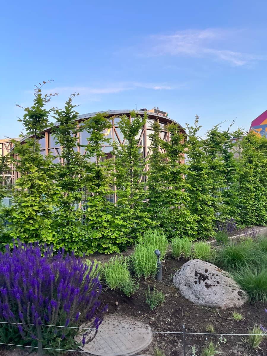 H.C. Andersen Garden, Odense