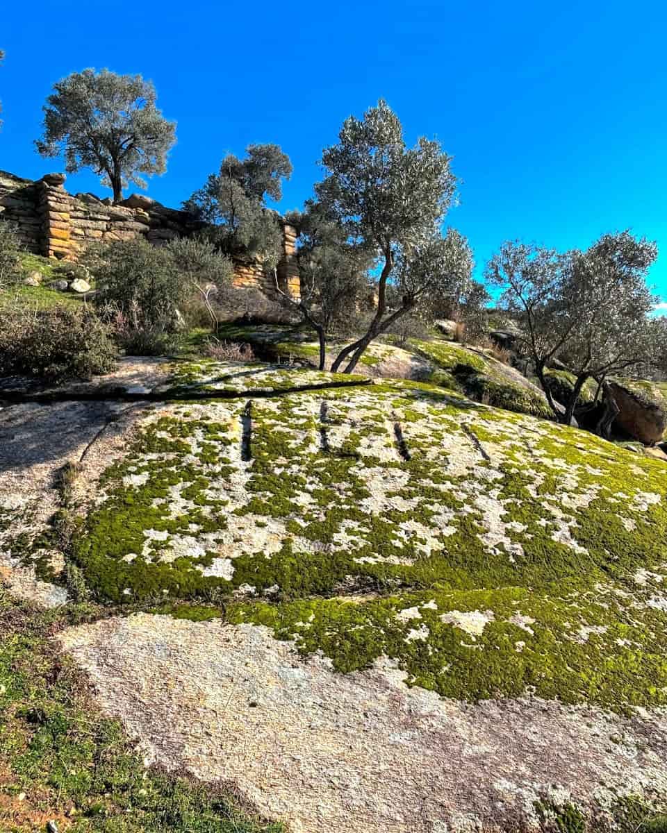 Hiking Through Lefkada Forest Trails