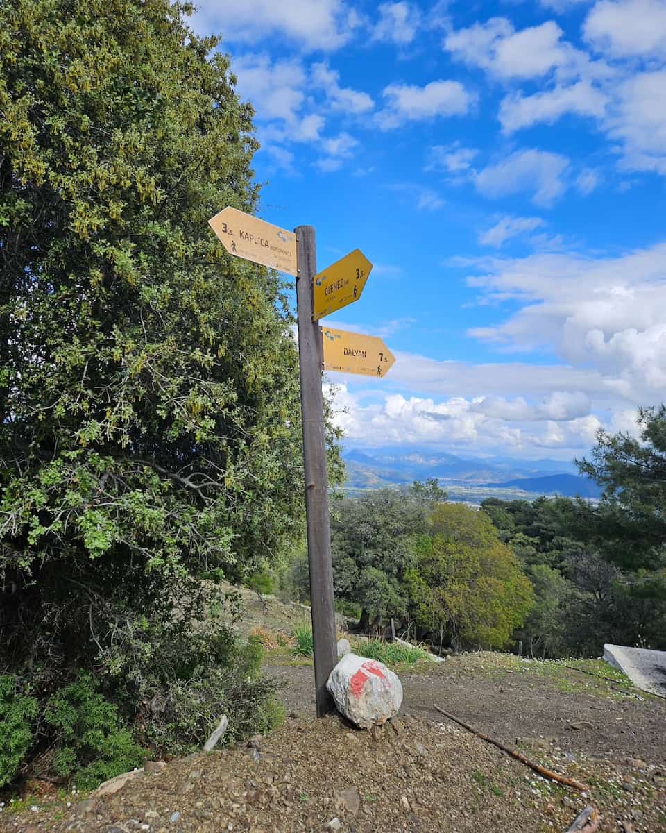 Hiking Through Lefkada Forest Trails