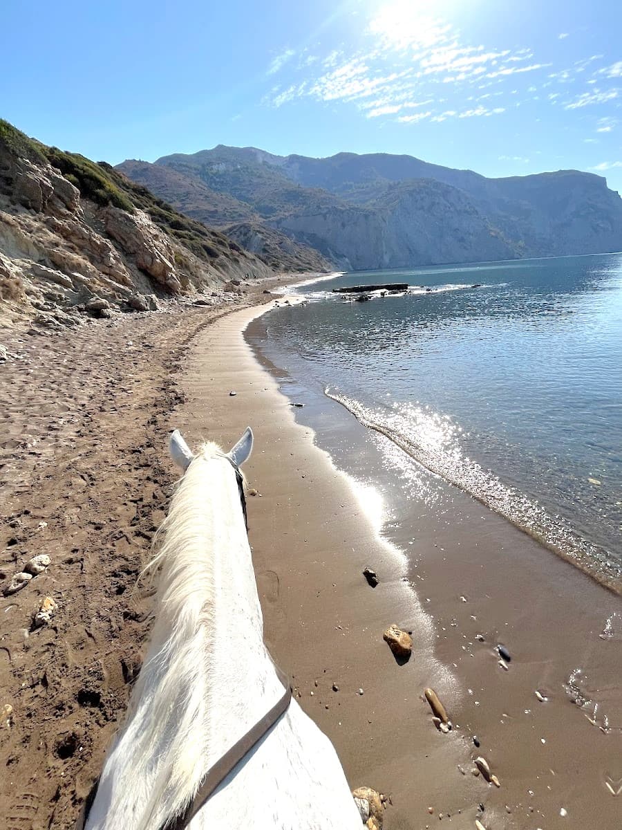 Horse Riding Center, Laganas