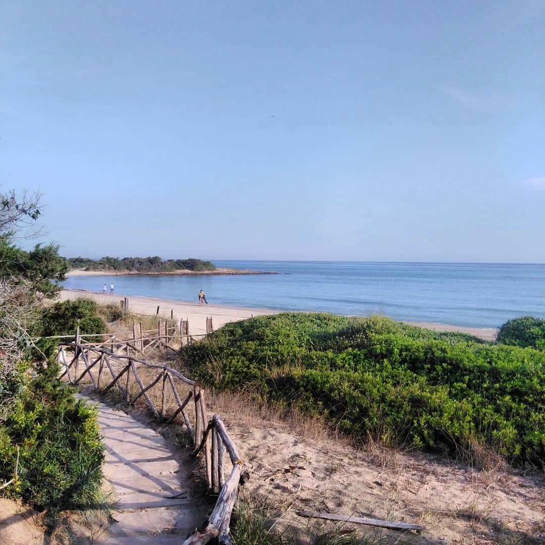 Horseback Riding in Parco Dune Costiere