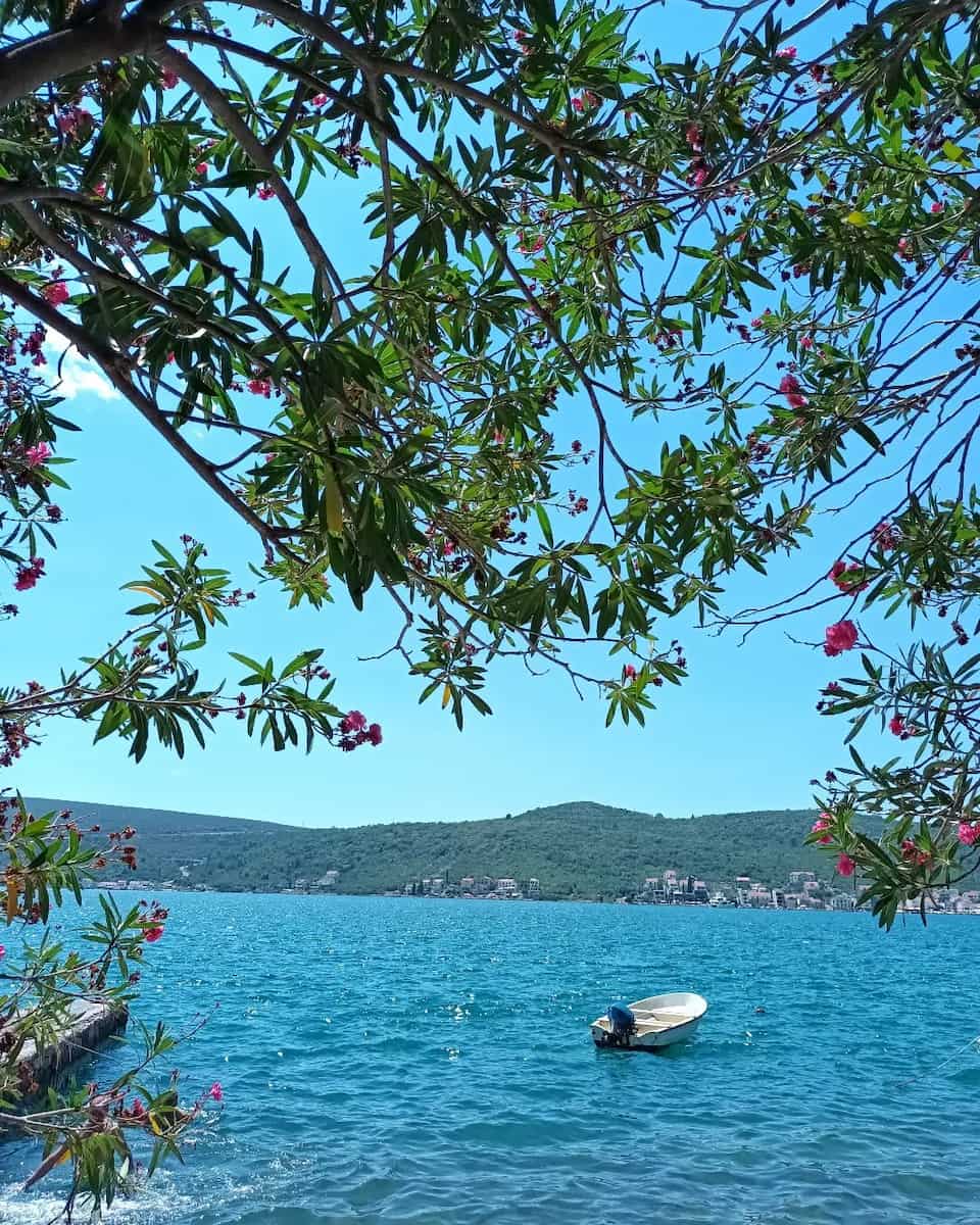 Island of Flowers, Tivat