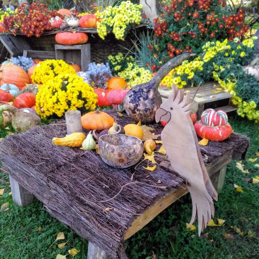 Jardin Botanique de Tours