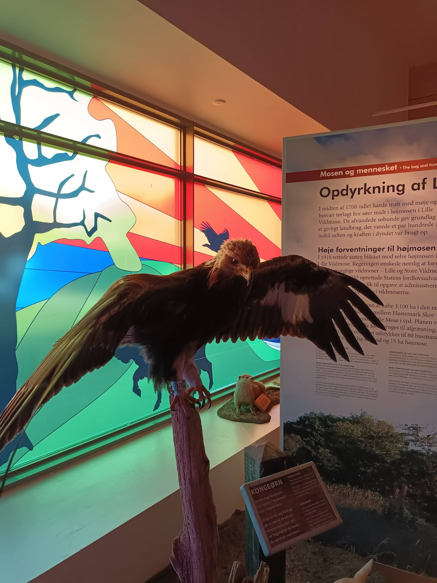 Lille Vildmosecentret Dokkedal