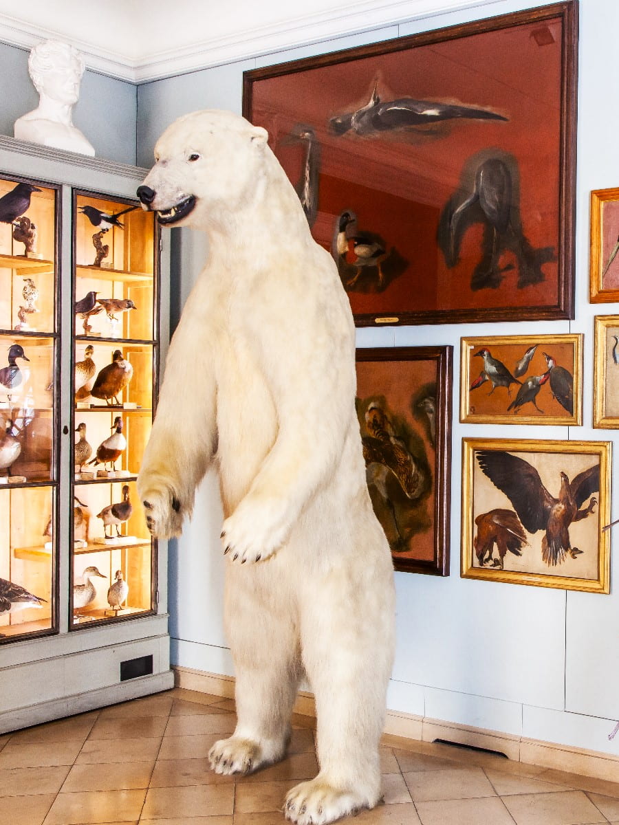 Inside of Museum of Hunting and Nature, Le Marais