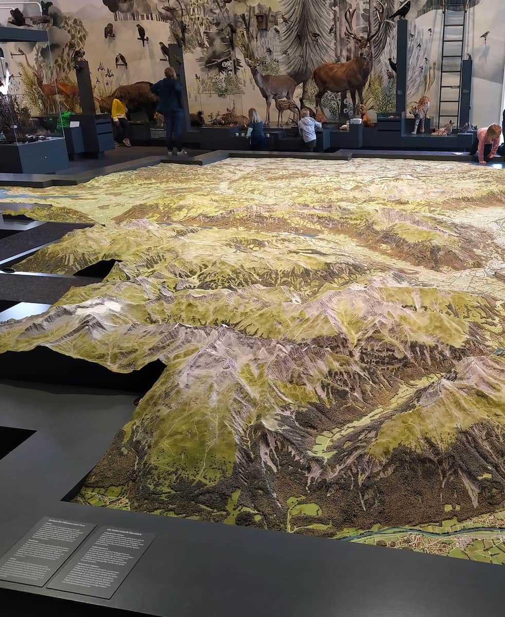 Natural History Museum St Gallen