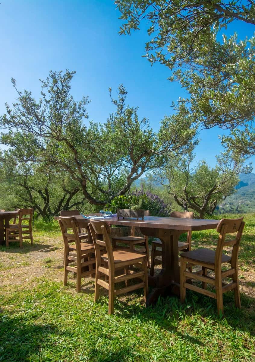 Olive Oil Factory Tour