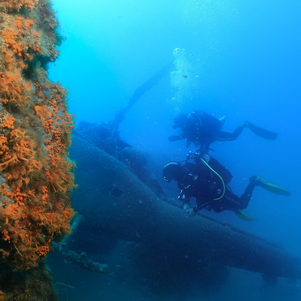 Palmes Beach, Menton