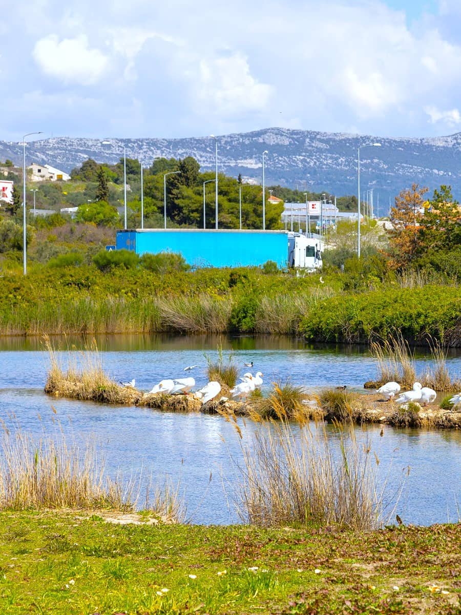 Pantan Nature Reserve, Trogir