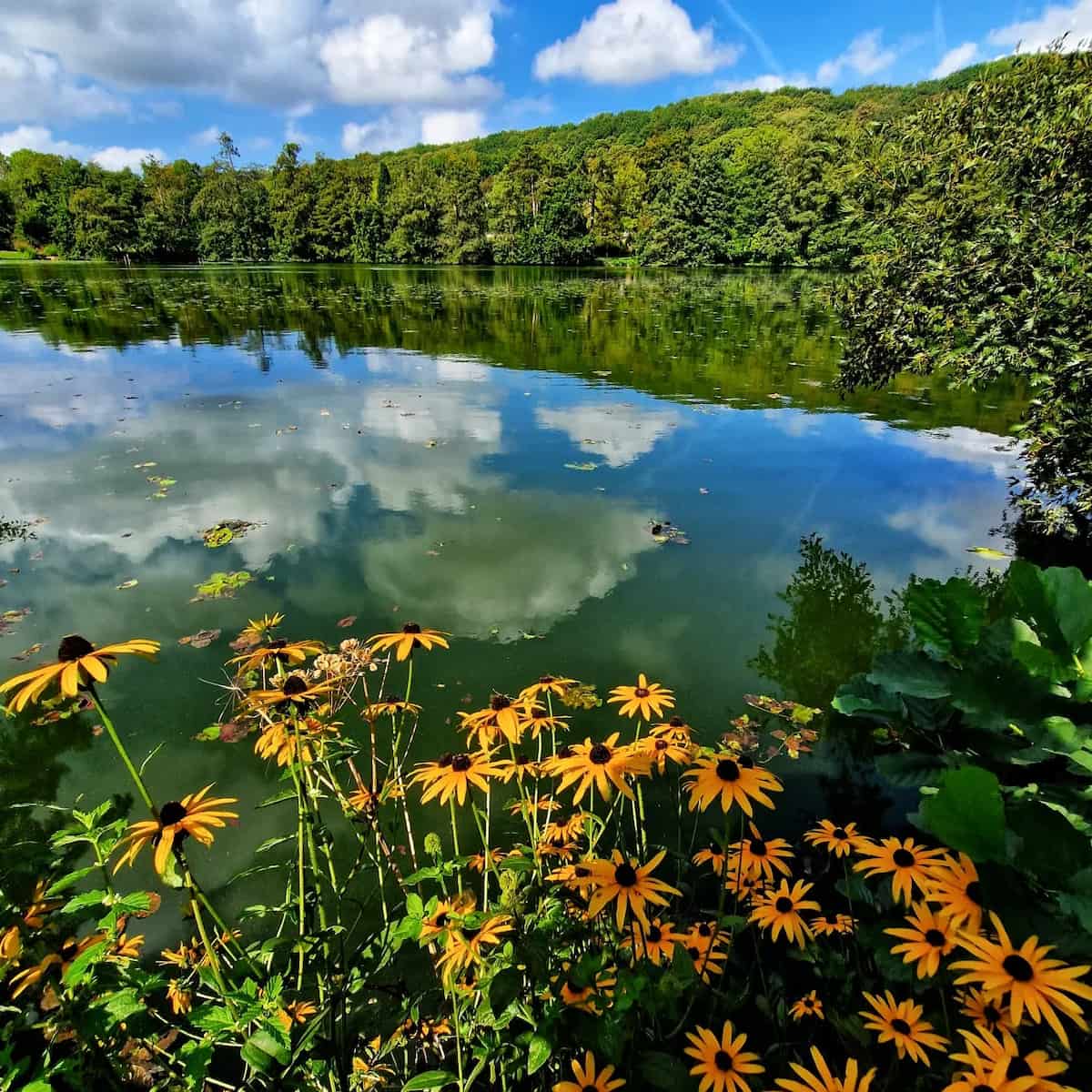 Parc de Rouelles, Le Havre