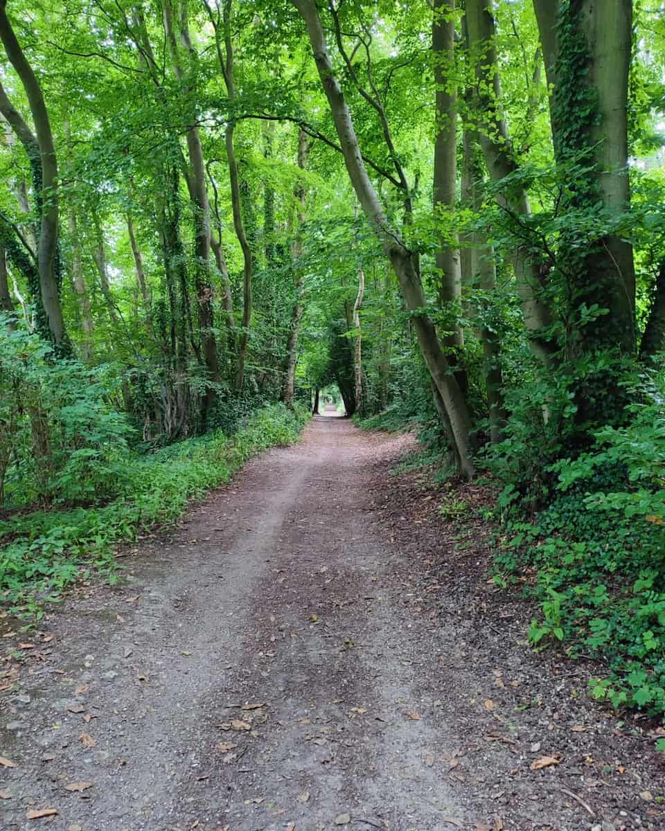 Parc de Rouelles, Le Havre