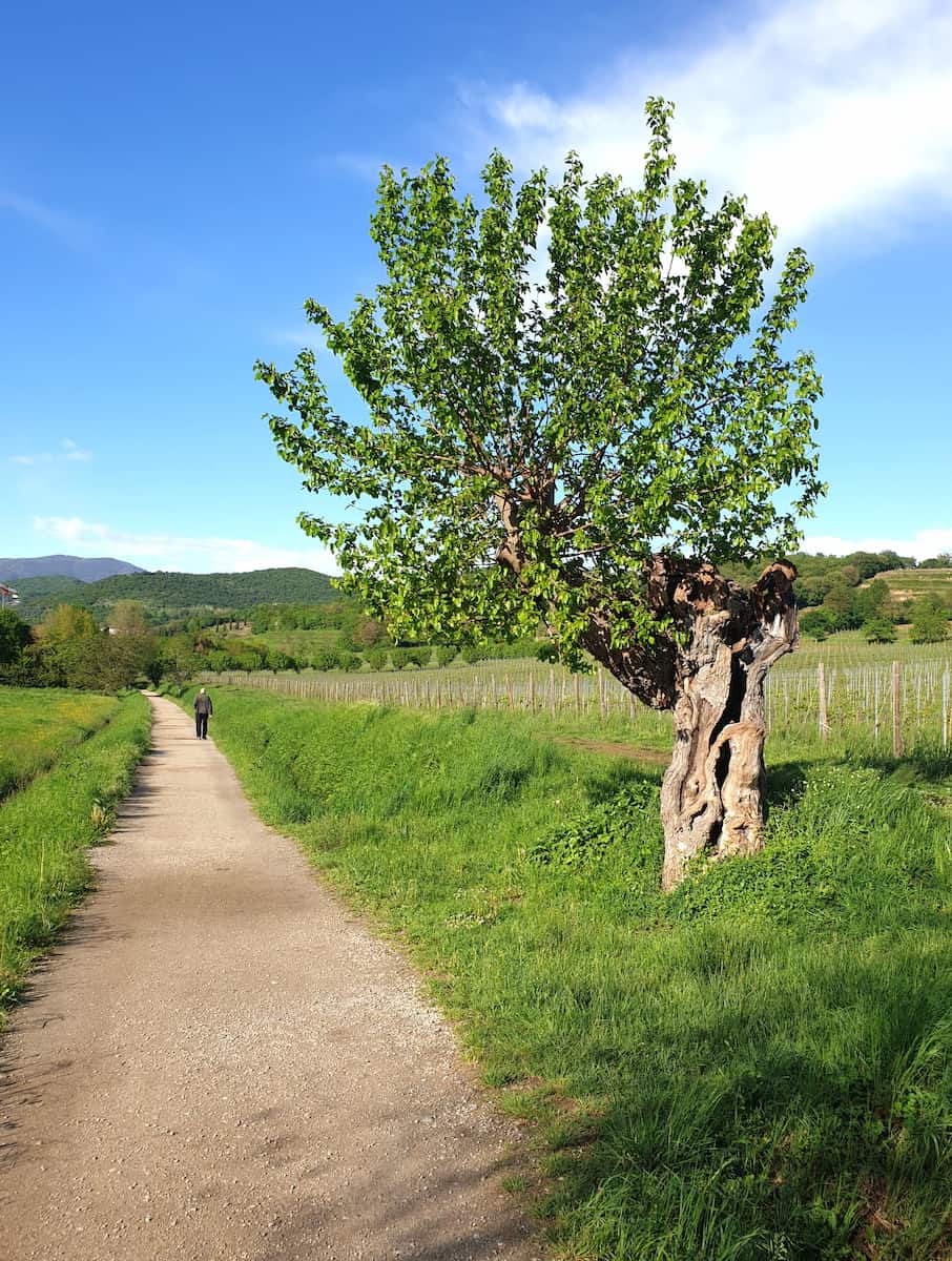 Parco delle Colline Brescia