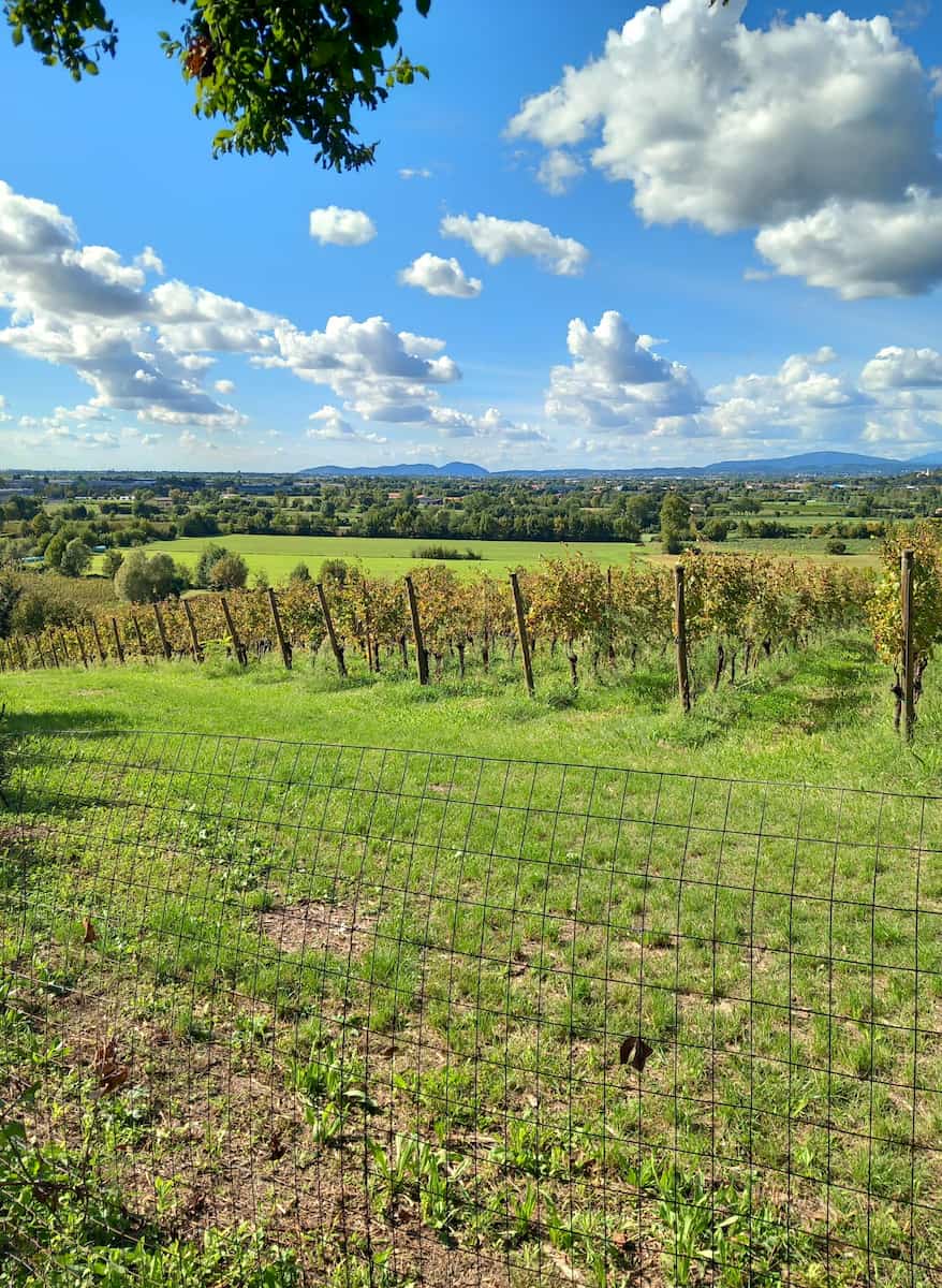 Parco delle Colline Brescia