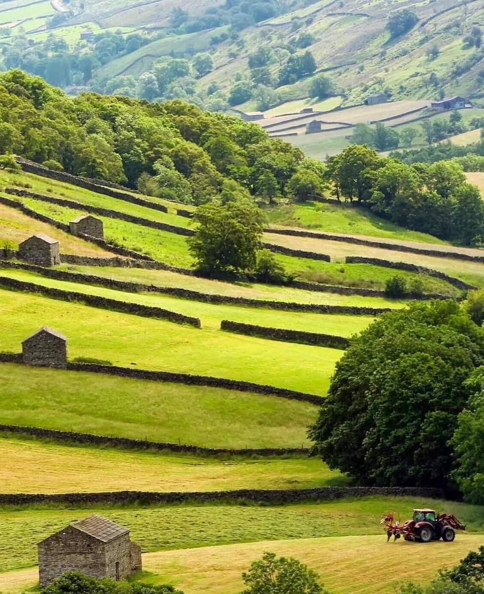 Road from Richmond to Reath